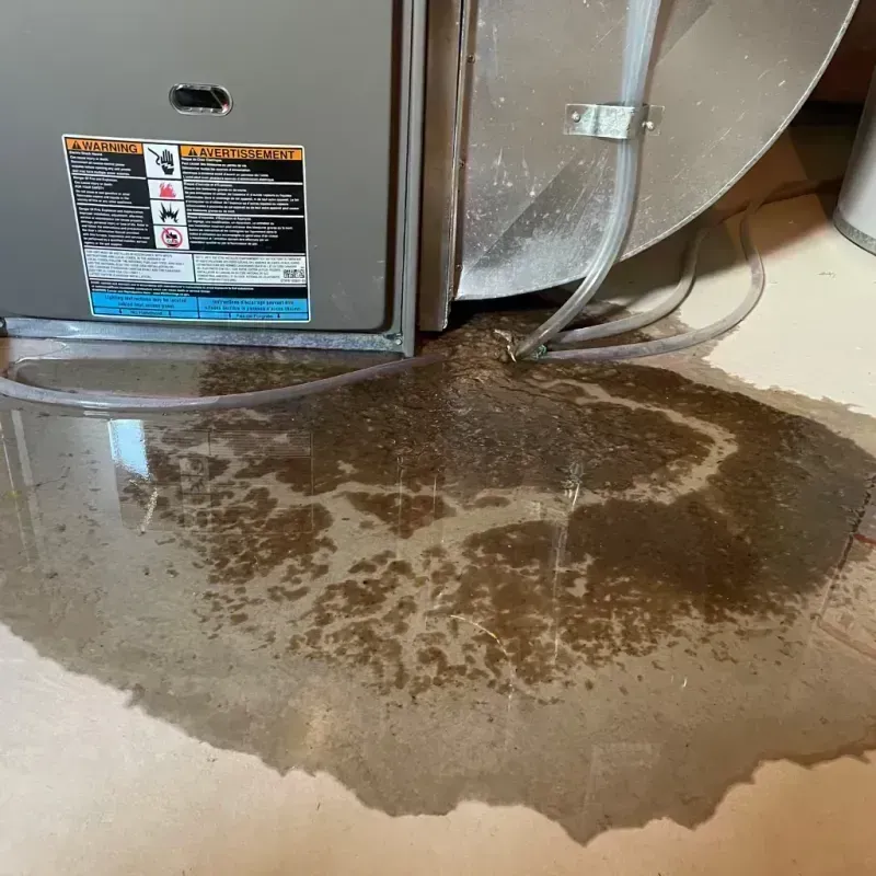 Appliance Leak Cleanup in North Laurel, MD